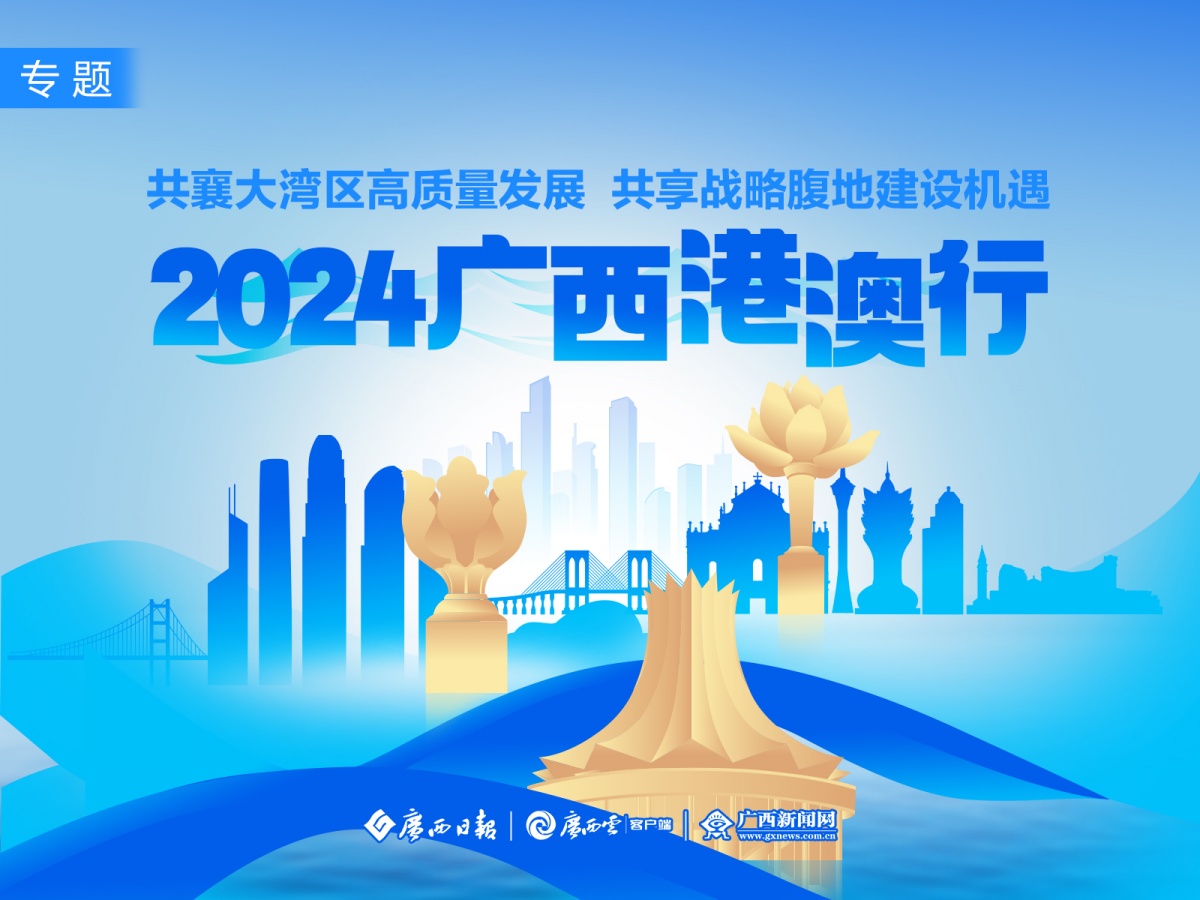 2025新澳精准资料大全|精选解释解析落实,探索未来，2025新澳精准资料大全与精选解析落实策略