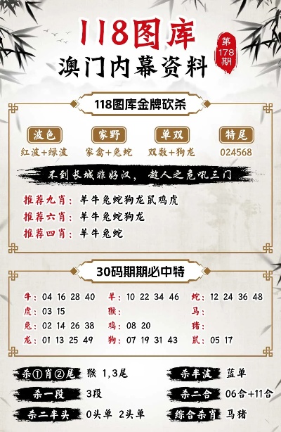 新澳今天最新资料995|精选解释解析落实,新澳今日最新资料解析，深入解读995精选内容并推动落实