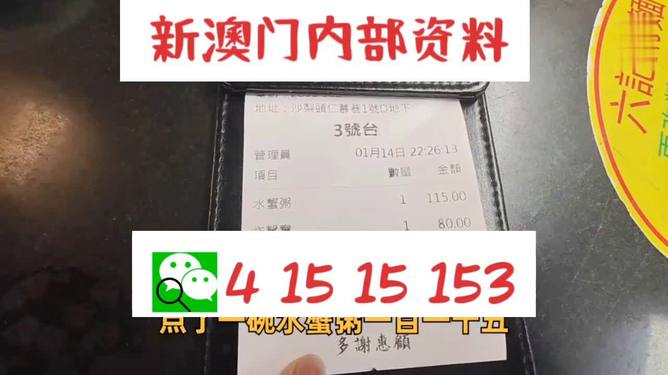 2025澳门正版免费码资料|精选解释解析落实,澳门正版免费码资料解析与落实策略，迈向未来的关键步骤