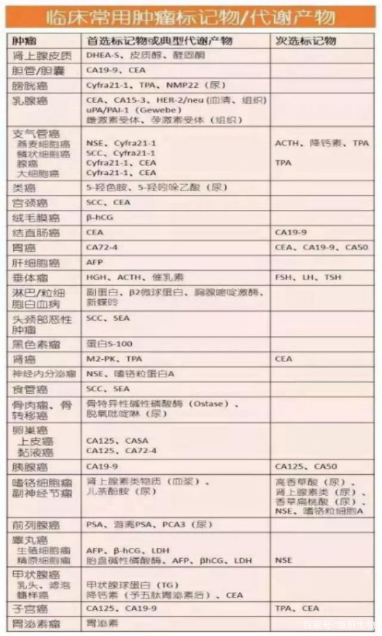 澳门正版免费全年资料大全问你|精选解释解析落实,澳门正版免费全年资料大全详解，精选解析与落实策略