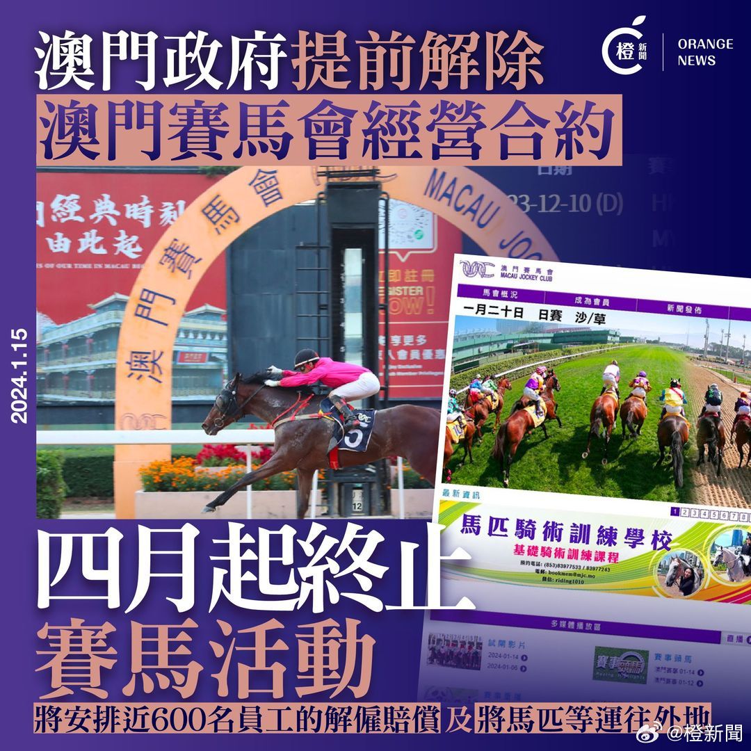 2025澳门特马最准网站|精选解释解析落实,探索澳门特马游戏，精准网站与解析落实的重要性